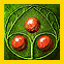Archer's Signet